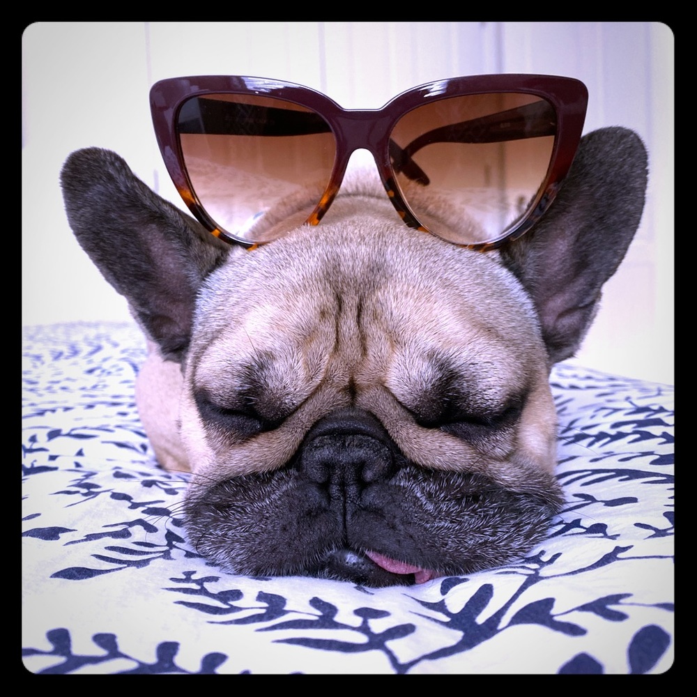 Tortoise Cat Eye Sunglasses: ( pup not included )